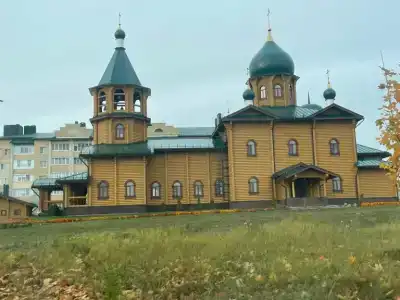Пантера - 4