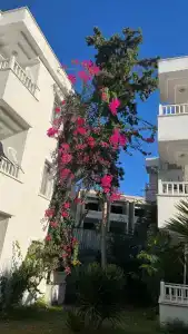 KAIRABA Bodrum Princess and Spa - 7