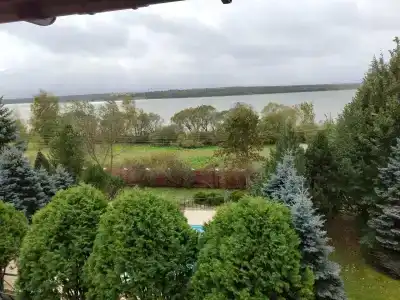 Рузмарин - 49