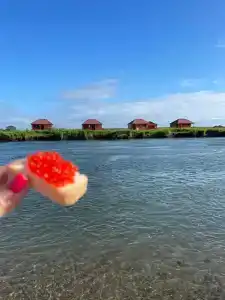 Пролосось - 20