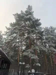 Ясная Поляна - 15