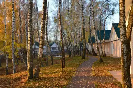 Усадьба Отрада - 16