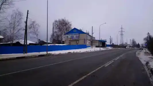 Фиалка - 1