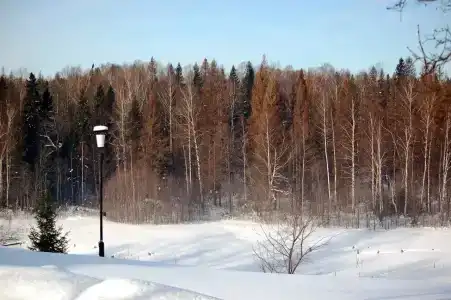 Имение Сведомских - 64