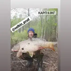 Селькин пруд - 9