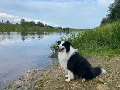 Удачное Кемп - 57