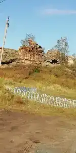 Березовая роща - 19