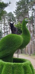 Санаторий Нарзан (Корпус Горный) - 30