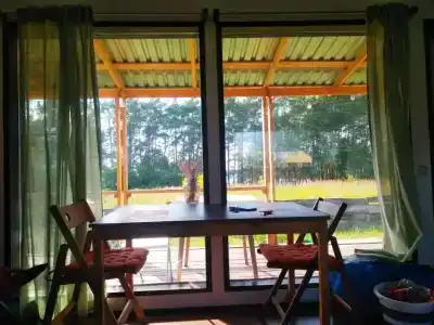 Смородина - 68