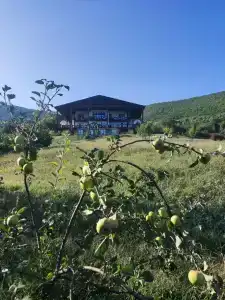 Shale Alpine House - 13
