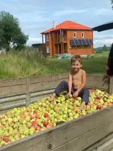 Экоферма и кемпинг Кузнечиха - 2