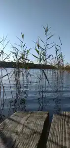 Робинзон - 36