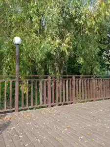 Солнечный - 10