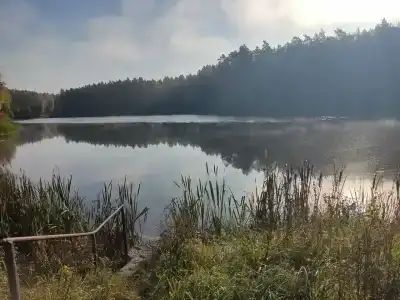 Железинка - 27