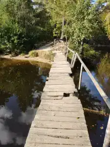 Железинка - 1