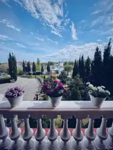 Пляж-отель Омега 4 - 25