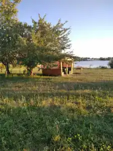 Белый лис - 9