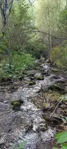 Солонечный - 35