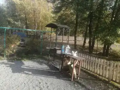 Лукоморье - 13