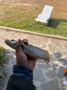 Тихая заводь - 33