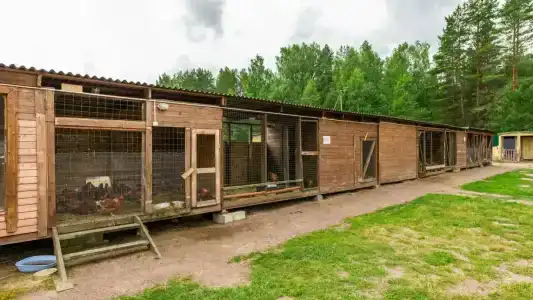 Подворье - 18