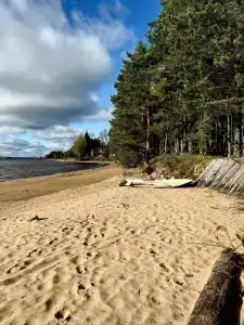 Seliger soul - 27