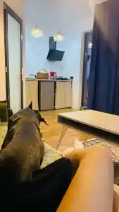 Лайтхаус - 19