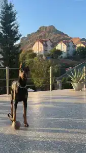 Лайтхаус - 3