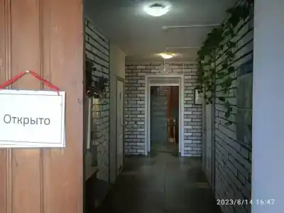 Мустанг - 29