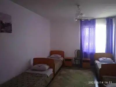 Мустанг - 4