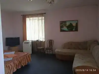 Мустанг - 8