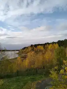Каменный цветок - 12