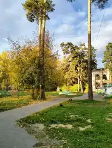 Каменный цветок - 8