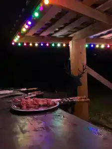 Фестиваль-Парк - 68