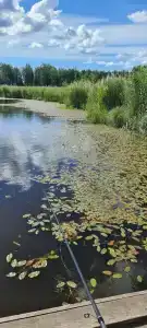 Подворье - 74