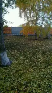 Околица - 4