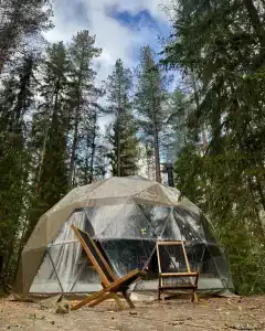 Villy Uley Karelia (Вили Улей Карелия) - 99