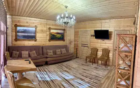 Багира - 4