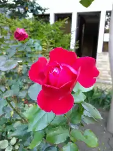 Андалусия - 46