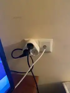 Беловежская пуща. №2 - 70