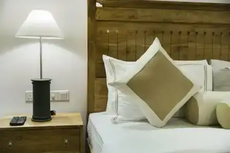 The Lucky Elephant - 26