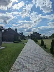 Камыши - 2