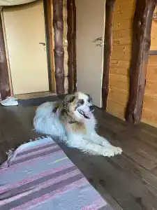 У Борисыча - 54