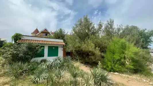 КристОля - 36