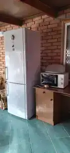 Тюльпан - 41