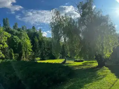 Сокол - 85