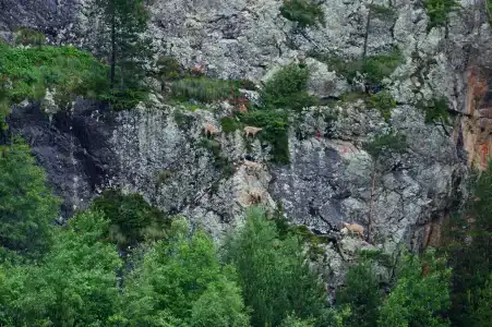 Комы-Арт - 28