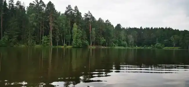 Железинка - 35