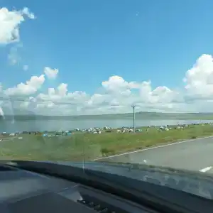 База отдыха Лазурный берег - 17