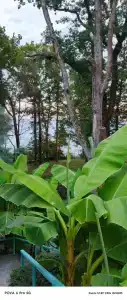 Радуга - 17